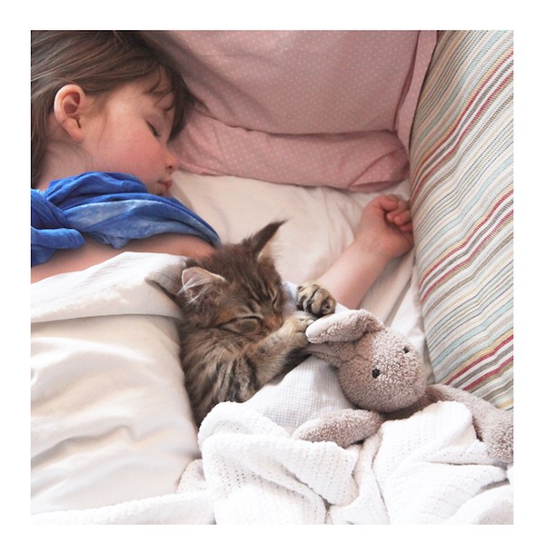 Bộ ảnh về tình bạn thân thiết của cô bé tự kỷ với chú mèo cưng 10