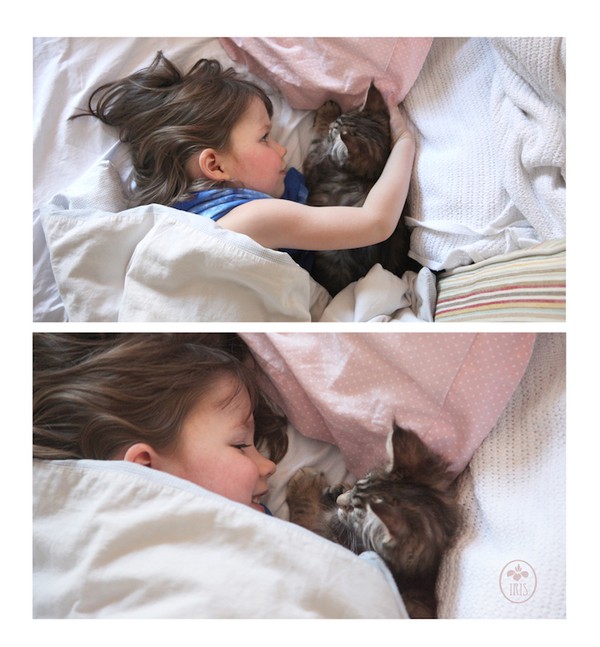Bộ ảnh về tình bạn thân thiết của cô bé tự kỷ với chú mèo cưng 15