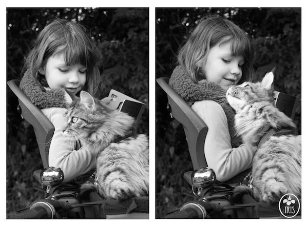 Bộ ảnh về tình bạn thân thiết của cô bé tự kỷ với chú mèo cưng 2