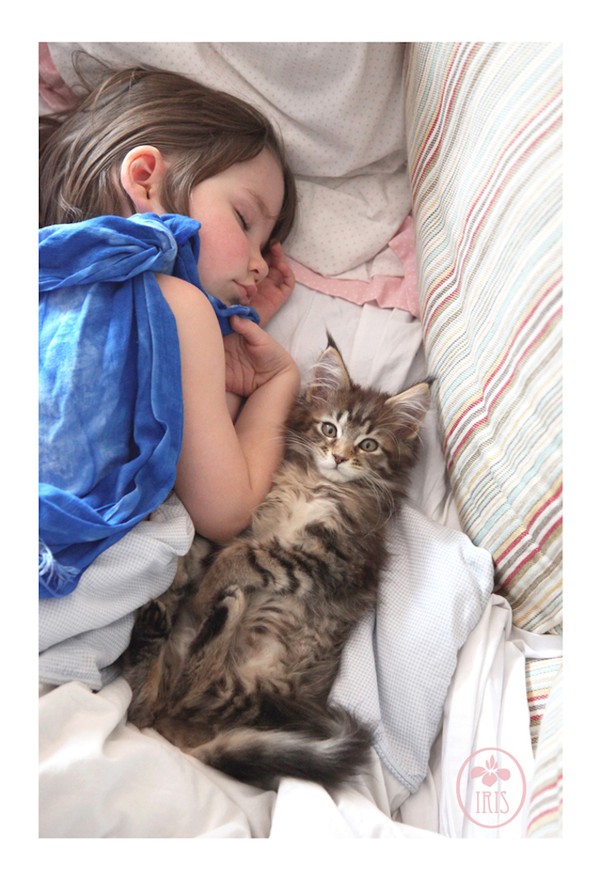 Bộ ảnh về tình bạn thân thiết của cô bé tự kỷ với chú mèo cưng 4