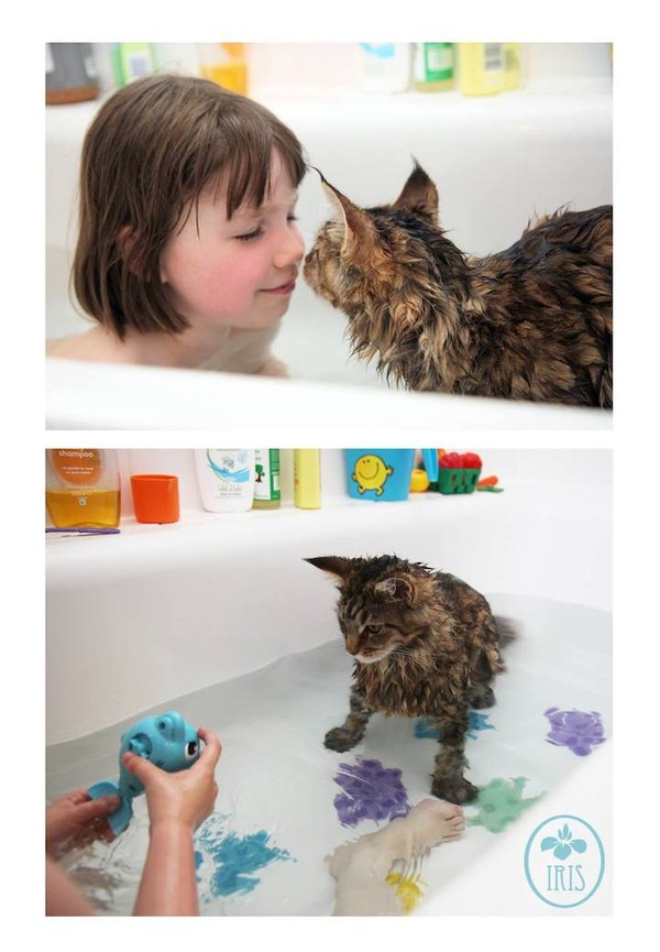 Bộ ảnh về tình bạn thân thiết của cô bé tự kỷ với chú mèo cưng 5