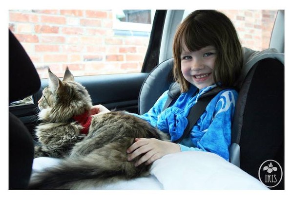 Bộ ảnh về tình bạn thân thiết của cô bé tự kỷ với chú mèo cưng 6