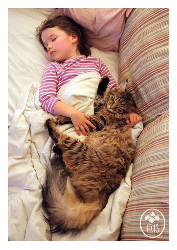 Bộ ảnh về tình bạn thân thiết của cô bé tự kỷ với chú mèo cưng 8
