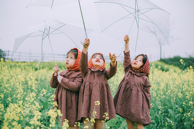 Bộ ba bạn thân Mầm - Mũm - Mon xuất hiện siêu yêu trong bộ ảnh chụp trên cánh đồng hoa cải - Ảnh 1.