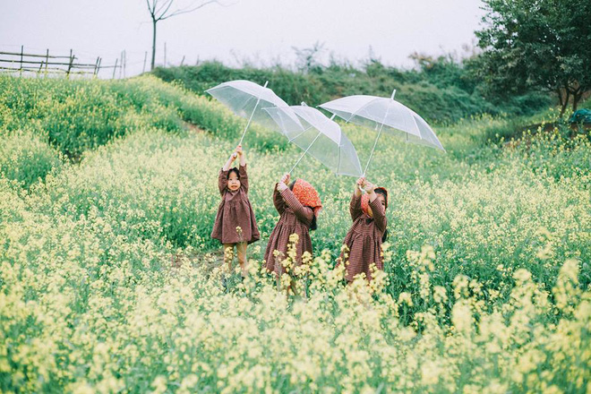 Bộ ba bạn thân Mầm - Mũm - Mon xuất hiện siêu yêu trong bộ ảnh chụp trên cánh đồng hoa cải - Ảnh 4.