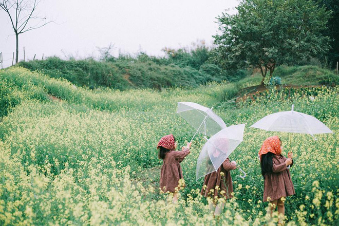 Bộ ba bạn thân Mầm - Mũm - Mon xuất hiện siêu yêu trong bộ ảnh chụp trên cánh đồng hoa cải - Ảnh 5.