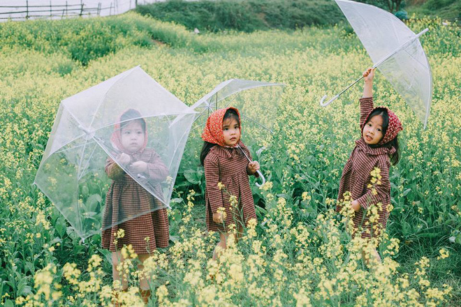 Bộ ba bạn thân Mầm - Mũm - Mon xuất hiện siêu yêu trong bộ ảnh chụp trên cánh đồng hoa cải - Ảnh 6.
