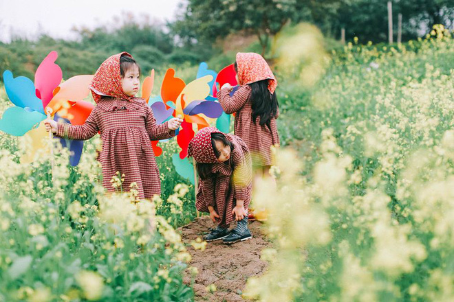 Bộ ba bạn thân Mầm - Mũm - Mon xuất hiện siêu yêu trong bộ ảnh chụp trên cánh đồng hoa cải - Ảnh 7.