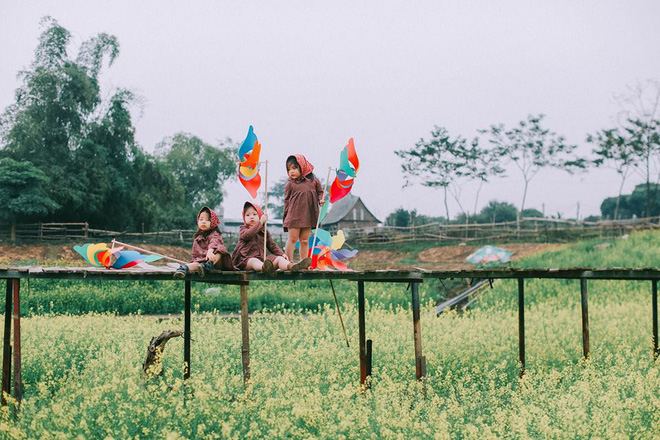 Bộ ba bạn thân Mầm - Mũm - Mon xuất hiện siêu yêu trong bộ ảnh chụp trên cánh đồng hoa cải - Ảnh 8.