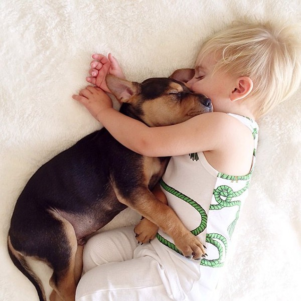 Ginger World | Hình ảnh ngủ trưa của hai nhóc con và chú chó Theo nổi tiếng